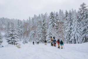 snowboard in canada
